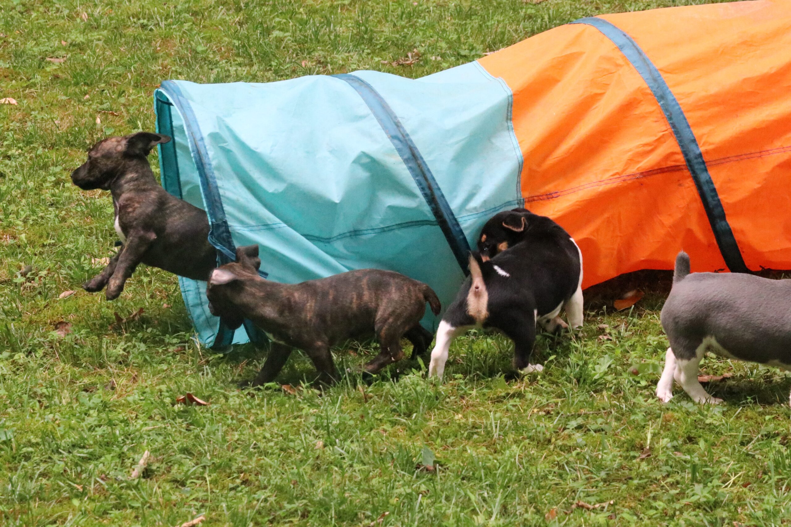 {919D33D5-0017-9180-3800-3200946B8400}